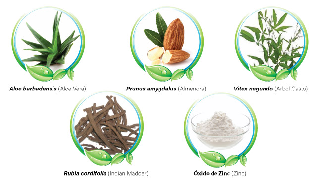 ingredientes para tratar el acne